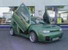 Fluegeltueren LSD Doors Golf 4